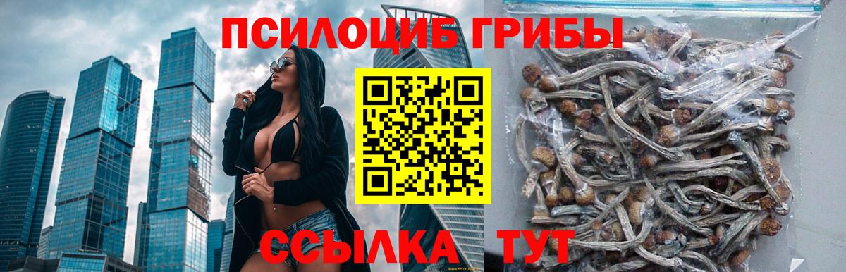 Псилоцибиновые грибы MAGIC MUSHROOMS Удомля
